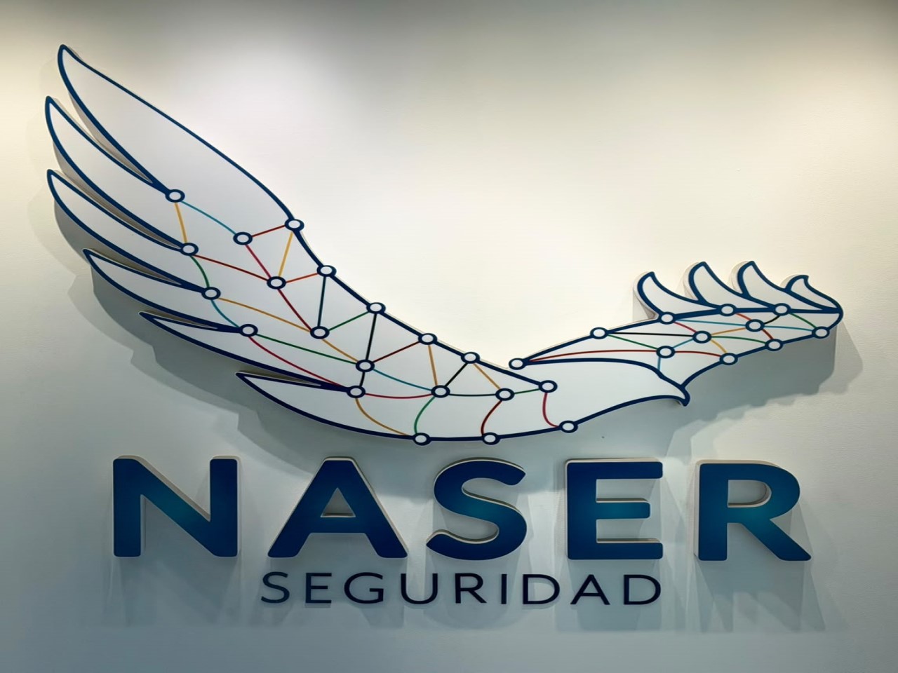 Vigilancia Profesional